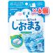  Sara ya. горшок .... носорог da- тест ×6 шт / сезон определенные товары ( бесплатная доставка )( post A)