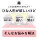 ���l�` �R���p�N�g 2023 ���̐ߋ� ������ ���� ���l�`  ��-OHINASAMA- �֘A�摜2