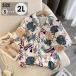 �A���n�V���c �V���c ���f�B�[�X �J�݃V���c �����V���c �ĕ� �n���C�A�� ���� ���� ������� �̌^�J�o�[ �V���v���f�U�C��