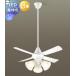  освещение свет потолочный светильник модный Panasonic Panasonic потолочный вентилятор свет XS90143K пластик корпус белый блеск пластик перо белый блеск 