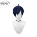  Persona 3. замок . парик парик костюмы 