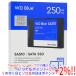 Western Digital производства SSD WD Blue SA510 SATA WDS250G3B0A 250GB
