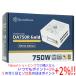 SILVERSTONE�� PC�Ÿ� SST-DA750R-GMA-WWW 750W ��