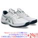 asics Asics 25.5cm бадминтон обувь COURT HUNTER FF 1071A111 белый /li талон блокировка 