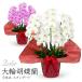 ��֌Ӓ��� �T�{�� �X�^���_�[�h ��/�s���N 50�ֈȏ� ���j�� �� �t�����[ �M�t�g �v���[���g�J�X�j�� �ړ] �A�C�j�� ���i �����j�� �a���� �җ� ���M ��͏j��