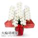 ��֌Ӓ��� �T�{�� �n�C�O���[�h �� 60�ֈȏ� ���j�� �� �t�����[ �M�t�g �v���[���g �J�X�j�� �ړ] �A�C�j�� �h�] ���i �����j�� �a���� �җ� ���M ��͏j��