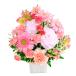 �t�����[ ���C���A�����W�����g�ECutie�s���N ���j�� �� �M�t�g �v���[���g �J�� �J�X�j�� �����j�� �a���� ���̓� 2026 �����j��