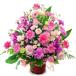 �A�����W�����g�t�����[ ���؂ȋG�߂̃A�����W ���j�� �� �M�t�g �v���[���g �J�� �J�X�j�� �ړ] �����j�� �a���� ���̓� 2026 �����j��