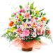 �A�����W�����g�t�����[ ���؂ȃ����̃A�����W ���j�� �� �M�t�g �v���[���g �J�� �J�X�j�� �ړ] �����j�� �a���� ���̓� 2026 �����j��