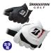 �u���a�X�g�� �S���t �O���[�u �X�g�����O�f���A�� �����Y ����p GL2607 STRONG DUAL �S�V�� ���� 2026�N���f�� BRIDGESTONE GOLF
