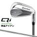 �e�[���[���C�h Qi MAX LITE �P�i�A�C�A�� (#5�AAW�ASW) �E�p N.S.PRO 790GH �X�`�[���V���t�g ���{���K�i 2025 TaylorMade �}�b�N�X ���C�g