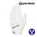 [ немедленная уплата возможность ] TaylorMade T- Flex перчатка левый рука для мужской UN162 белый Golf 2024 год модели TaylorMade