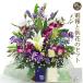 ���� �u�������A�����W�����g�E���~�j�X�v ���f�ރJ�[�h�d��Z�b�g ���d �������� �t�����[ ���� ���� ������� ���V �@�v �@�� ����� ���~ �V�~ ���~�䌩��