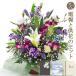 ���� �u�������A�����W�����g�E���~�j�X�v �v���~�A���J�[�h�d��Z�b�g ���d �������� �t�����[ ���� ���� ���� ������� ���V �@�v �@�� �����