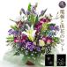 ���� �u�������A�����W�����g�E���~�j�X�v ���|�d��Z�b�g ���d �������� �t�����[ ���� ���� ���� ������� ���V �@�v �@�� ����� ���~ �V�~ ���~�䌩��