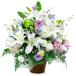 ���� �u�������A�����W�����g�E�����j�I���v (�d��Ȃ�) �������� �t�����[ ������� ���� ���� ���� ���V ���ʎ� �@�v �l�\��� ����� ���~ �V�~ ���~�䌩��
