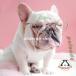  fashion pet sunglasses dog cat for glasses glasses circle glasses pet goods eye. protection . for small dog . dog for accessory small articles ultra-violet rays measures stylish photographing thing 