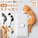  переключатель стикер 3D оборудование орнамент цельный кошка кошка животное настенный стикер переключатель настенный стикер крышка переключателя розетка панель переключателя оборудование орнамент 