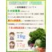 ��������f�L�X�g���� �M�K�T�C�Y 2kg  �����R�� ���n���H���@�� �������i �_�C�G�^���[�t�@�C�o�[ �i��z�ցj �֘A�摜1