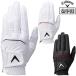 Callaway �L�����E�F�C ���K�i All Weather Glove 26 JM �I�[���E�F�U�[ �O���[�u �S�V�� ������v �����Y �S���t�O���[�u ( ����p ) 2026�V���i