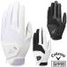 Callaway Callaway Japan regular goods Hyper Grip Glove 23 JM hyper grip men's Golf glove ( left hand for ) 2023 model 