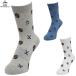 Munsingwear Munsingwear одежда Япония стандартный товар средний длина мужской ivy узор ja карта носки 2025 модель [ MG5FSO08M ]