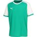  Puma TEAMLIGA игра рубашка SPORTGREEN