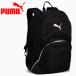  Puma TEAMFINAL рюкзак 2 45L 091600-01