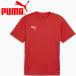  Puma teamGOAL мульти- рубашка 659403-01 мужской почтовая доставка бесплатная доставка 