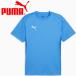  Puma teamGOAL мульти- рубашка 659403-02 мужской почтовая доставка бесплатная доставка 
