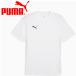  Puma teamGOAL мульти- рубашка 659403-04 мужской почтовая доставка бесплатная доставка 