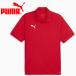  Puma teamGOAL мульти- Polo 659462-01 мужской почтовая доставка бесплатная доставка 