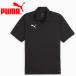  Puma teamGOAL мульти- Polo 659462-03 мужской почтовая доставка бесплатная доставка 