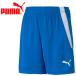  Puma TEAMLIGA игра брюки JR 705145-02 Junior почтовая доставка бесплатная доставка 