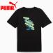  Puma MCFC ftblCulture чай 777774-49 мужской почтовая доставка бесплатная доставка 
