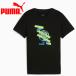  Puma MCFC ftblCulture чай Jr 777779-49 Junior почтовая доставка бесплатная доставка 