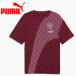  Puma MCFC ftblCulture+ чай 777784-69 мужской почтовая доставка бесплатная доставка 