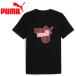  Puma ACM FtblCulture Tee 782596-04 мужской почтовая доставка бесплатная доставка 
