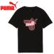  Puma ACM FtblCulture Tee Jr 782601-04 Junior почтовая доставка бесплатная доставка 