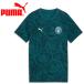  Puma MCFC FtblCulture Tee AOP Jr 782675-09 Junior почтовая доставка бесплатная доставка 