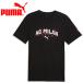  Puma ACM FtblCulture Tee 784718-05 мужской почтовая доставка бесплатная доставка 
