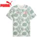  Puma ACM FtblCulture Tee AOP 784719-04 мужской почтовая доставка бесплатная доставка 