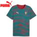  Puma FPF FtblCulture Tee AOP 784820-30 мужской почтовая доставка бесплатная доставка 