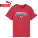  Puma FPF FtblCulture Tee Jr 784825-27 Junior почтовая доставка бесплатная доставка 