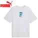  Puma FPF ftblCulture Collegiate Tee 784830-34 мужской почтовая доставка бесплатная доставка 