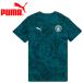  Puma MCFC FtblCulture Tee AOP 785788-09 мужской почтовая доставка бесплатная доставка 