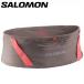  отметка 10 раз объект Salomon PULSE BELT LC2461700 почтовая доставка бесплатная доставка 