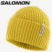  Salomon SNOWBIRD BEANIE U LC2629500 мужской женский почтовая доставка бесплатная доставка 