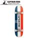  Captain Stag скейтборд PS-21 UX2639