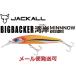 ジャッカル ビッグバッカー 湾岸ミノー 128S-LB 超サゴシスパーク 230260